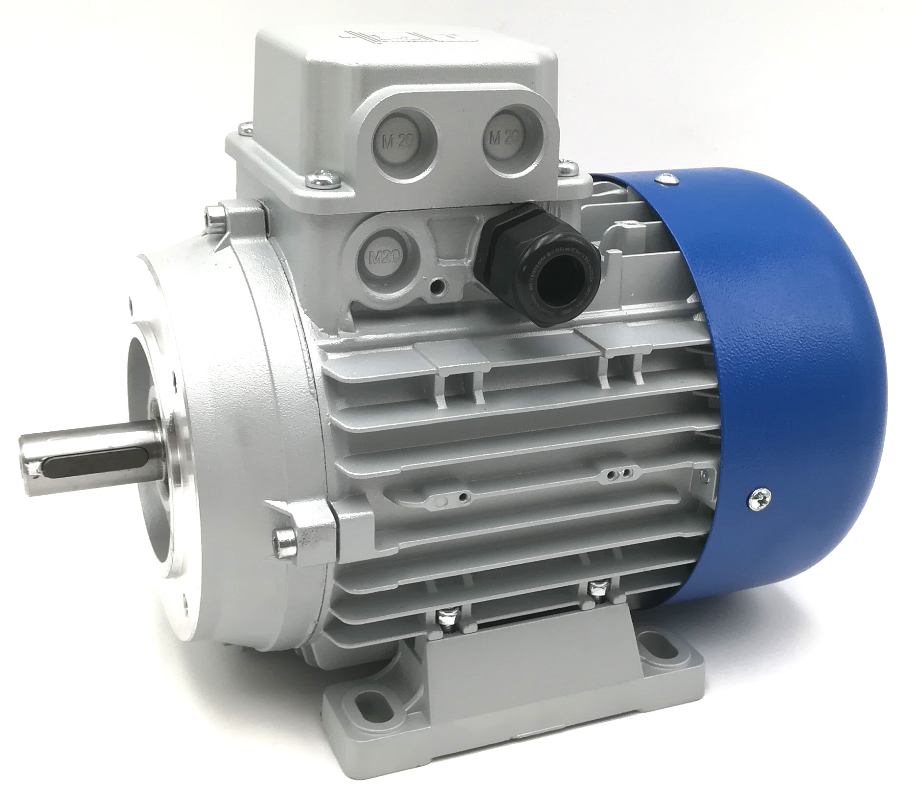 Elektromotor passend für DeLaval FMP110 Milchpumpe | 995791-80 von DeLaval (passend für) 995791-80