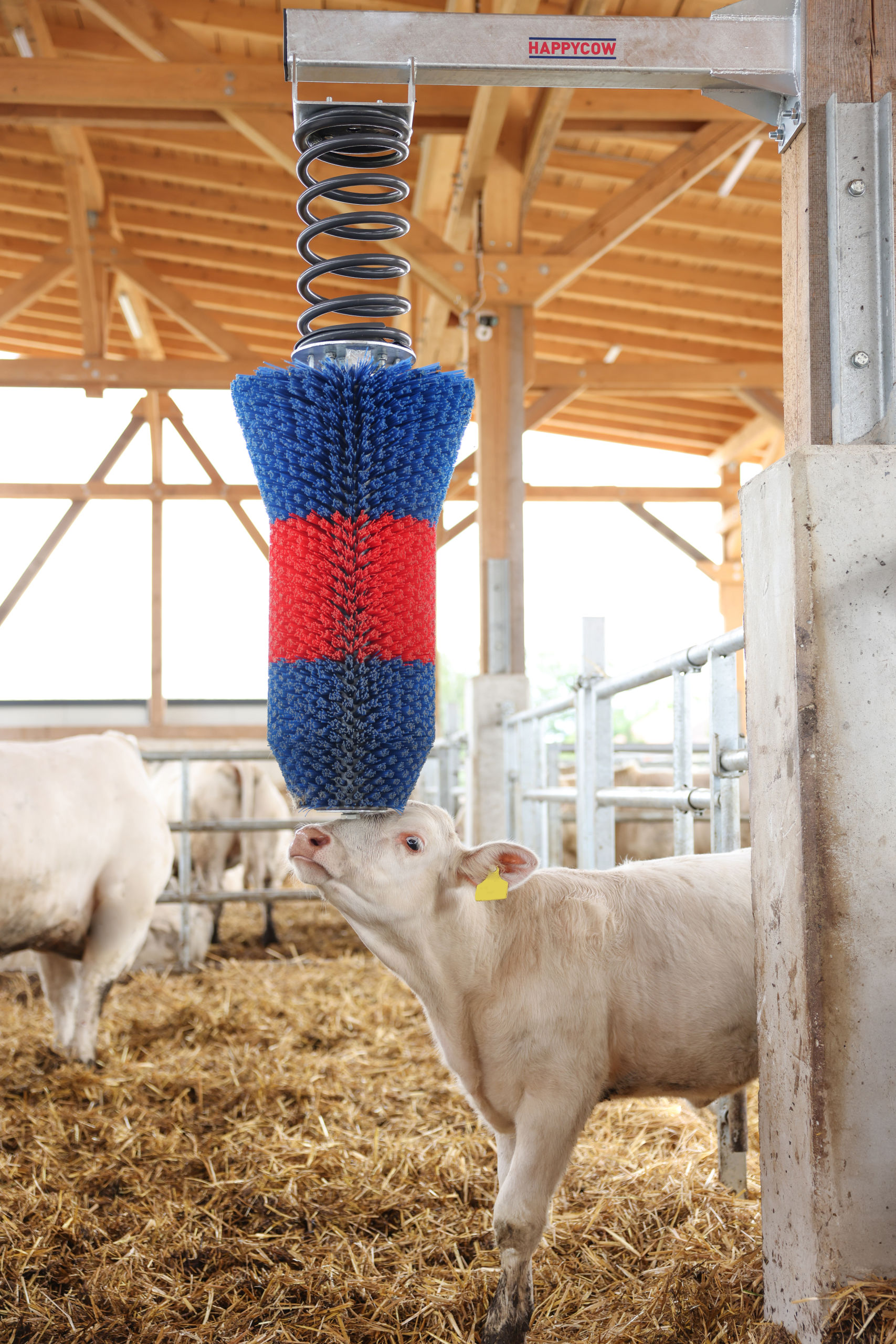 Kratzbürste HAPPYCOW FlexiSwing von Kerbl 18670