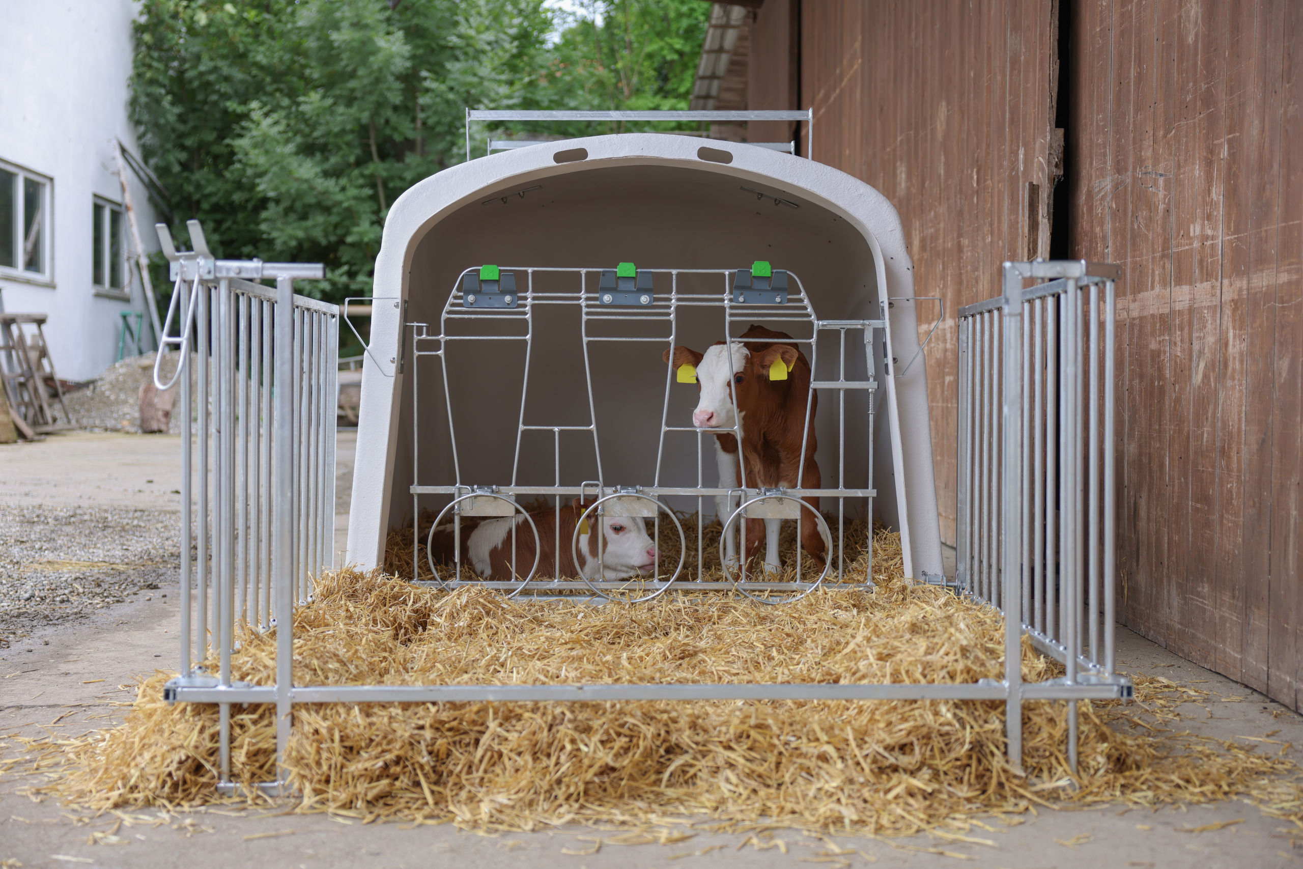 CalfHouse Premium DUO mit Umzäunung - Kerbl 14618 CalfHouse Premium DUO mit Umzäunung von Kerbl 14618