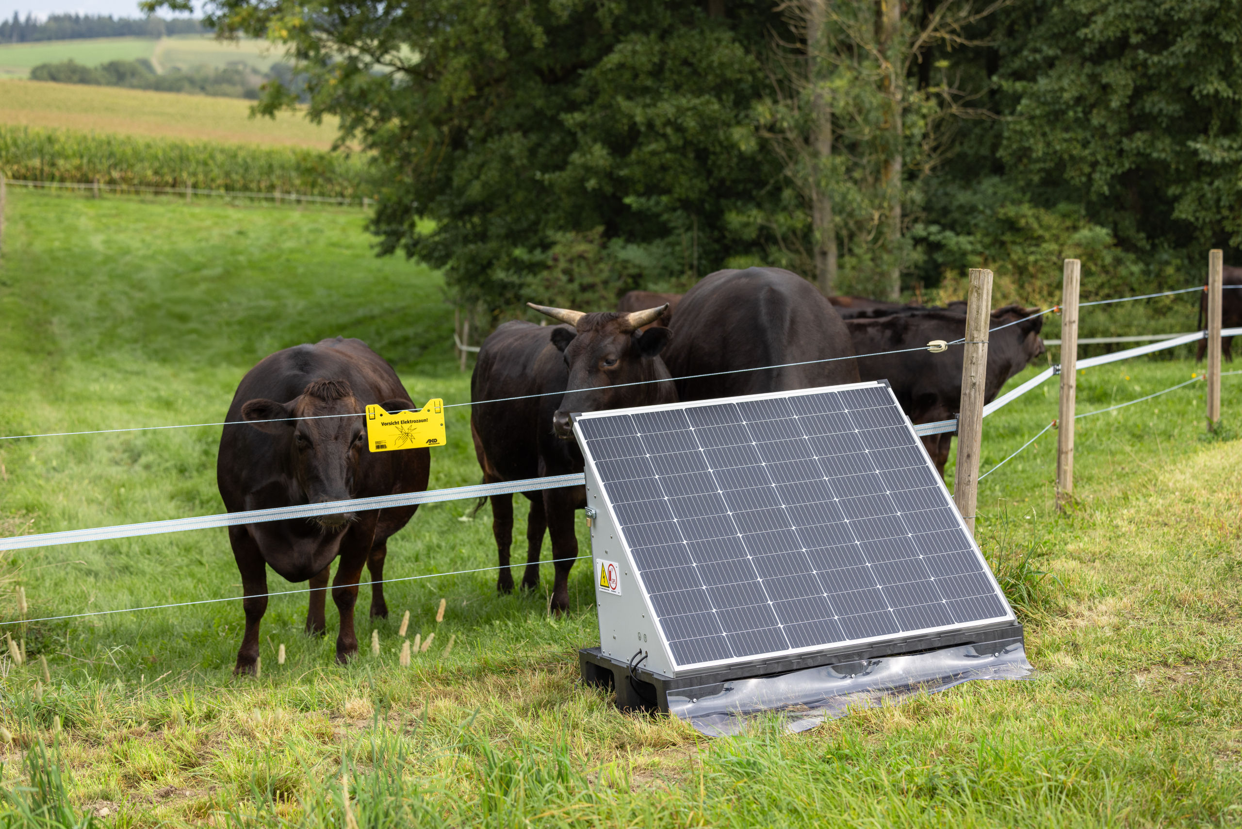 AKO Solar Station XXL smart von AKO 441103