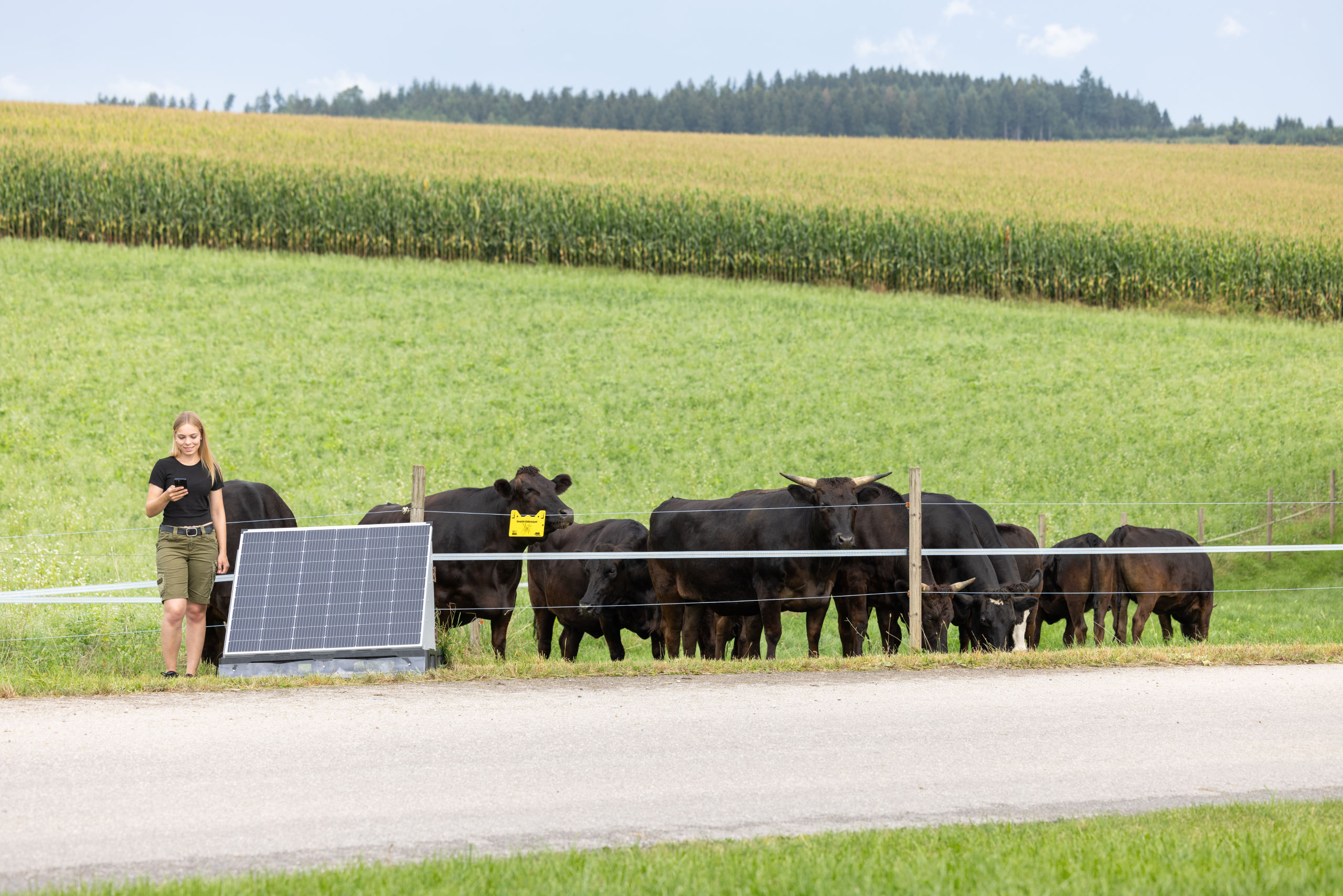 AKO Solar Station XXL smart - AKO 441103 AKO Solar Station XXL smart von AKO 441103