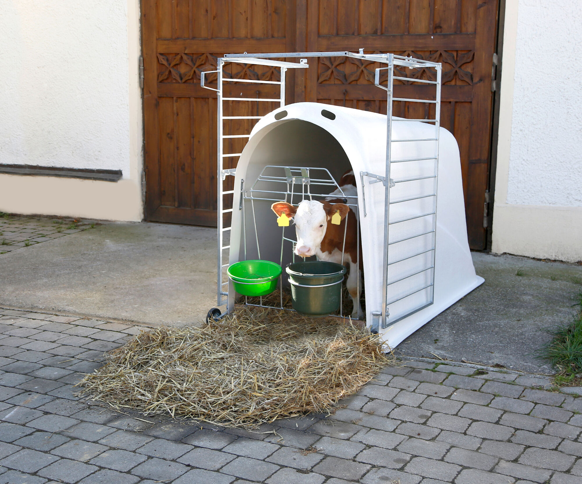 Kälberiglu CalfHouse Master Plus mit schwerer Umzäunung von Kerbl 14485