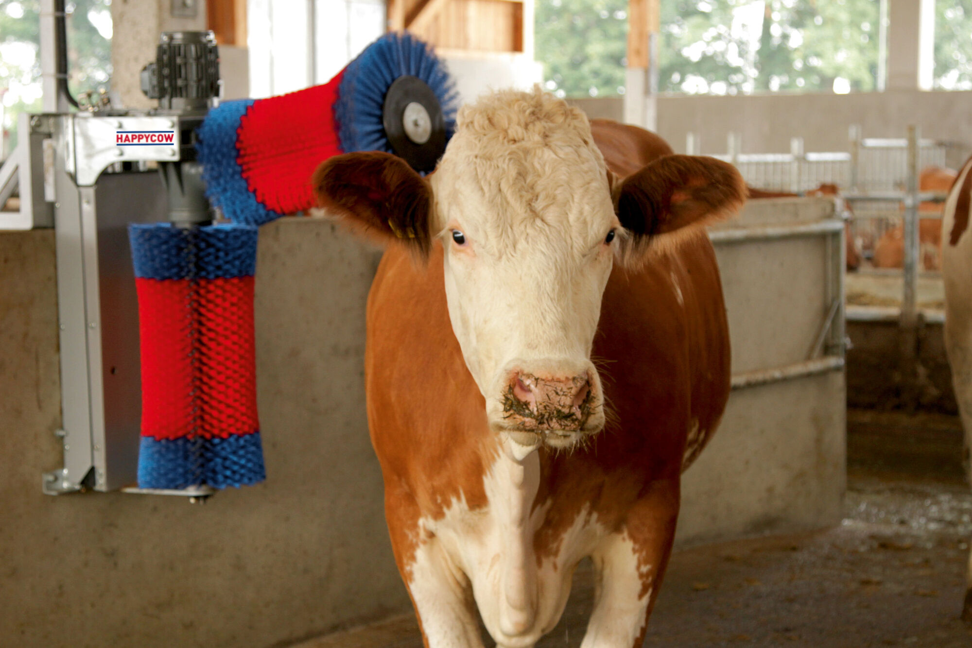 Kuhputzmaschine HAPPYCOW Duo - Kerbl 18820 Kuhputzmaschine HAPPYCOW Duo von Kerbl 18820