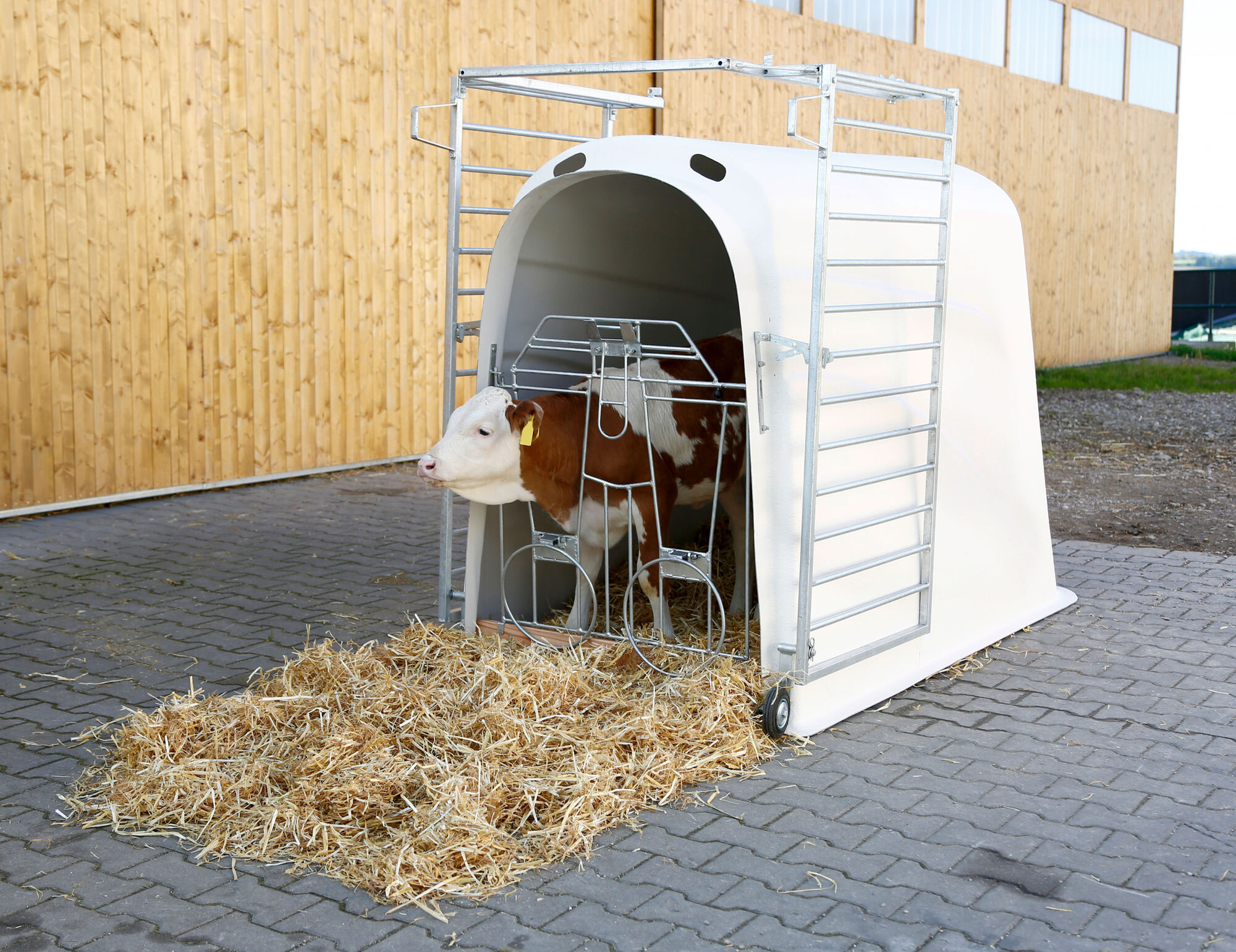 Kälberiglu CalfHouse Premium Plus mit leichter Umzäunung von Kerbl 14580