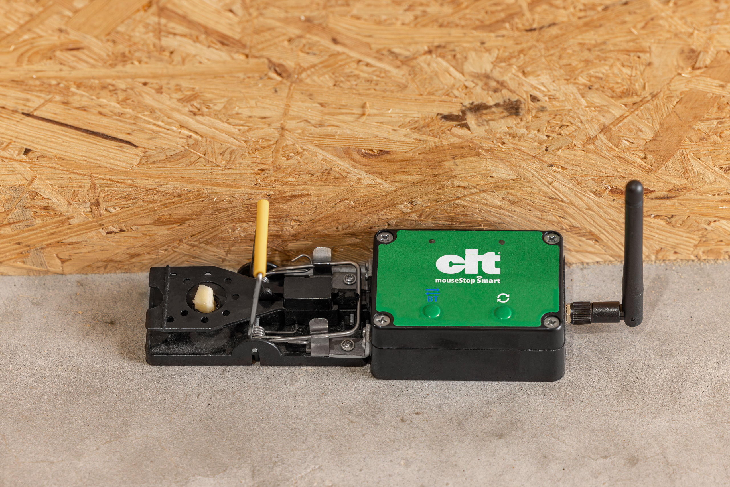 cit mouseStop Smart - cit cit mouseStop Smart von cit