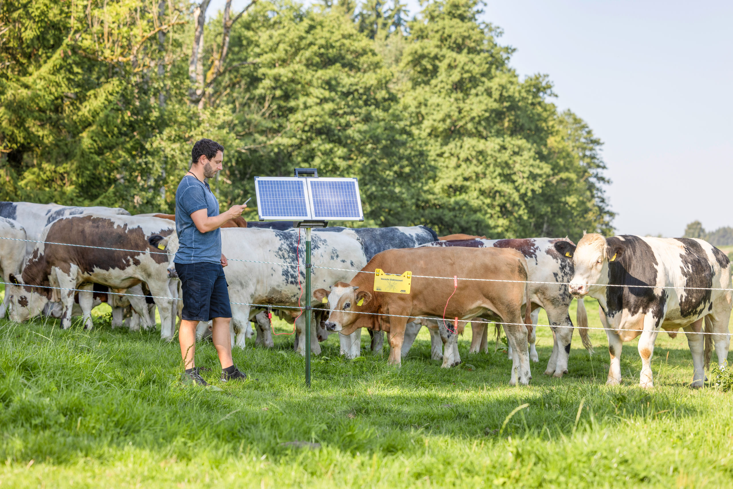 AKO SunPower S2400 Smart 12V Weidezaungerät von AKO 372953