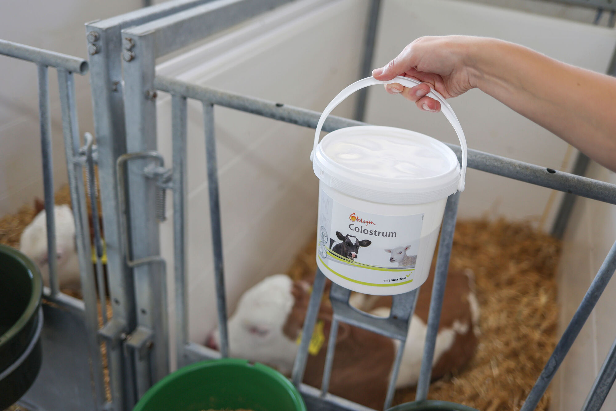 Globigen Colostrum - EW Nutrition Globigen Colostrum von EW Nutrition