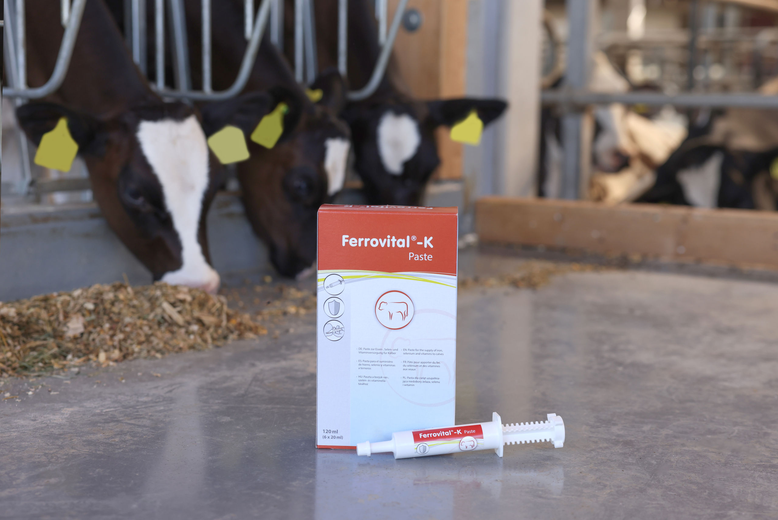 Ferrovital®-K Eisenpaste | 6x20ml von Agrochemica