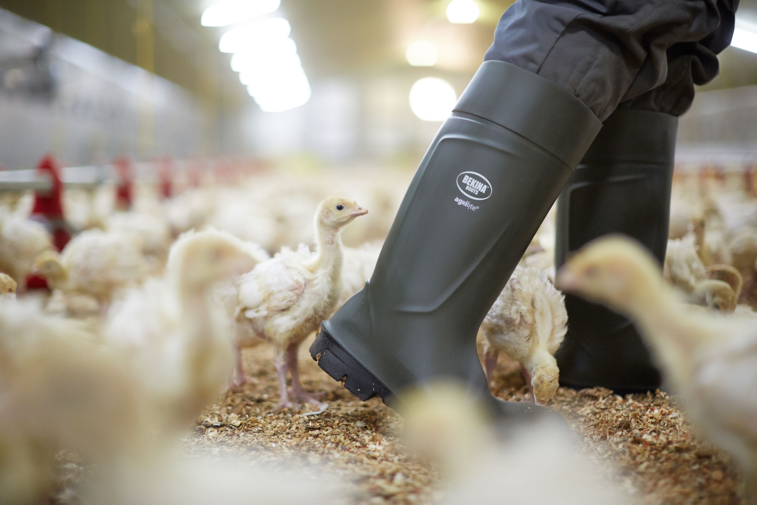 Bekina Sicherheitsstiefel S5 Steplite® Easygrip - Bekina Bekina Sicherheitsstiefel S5 Steplite® Easygrip von Bekina