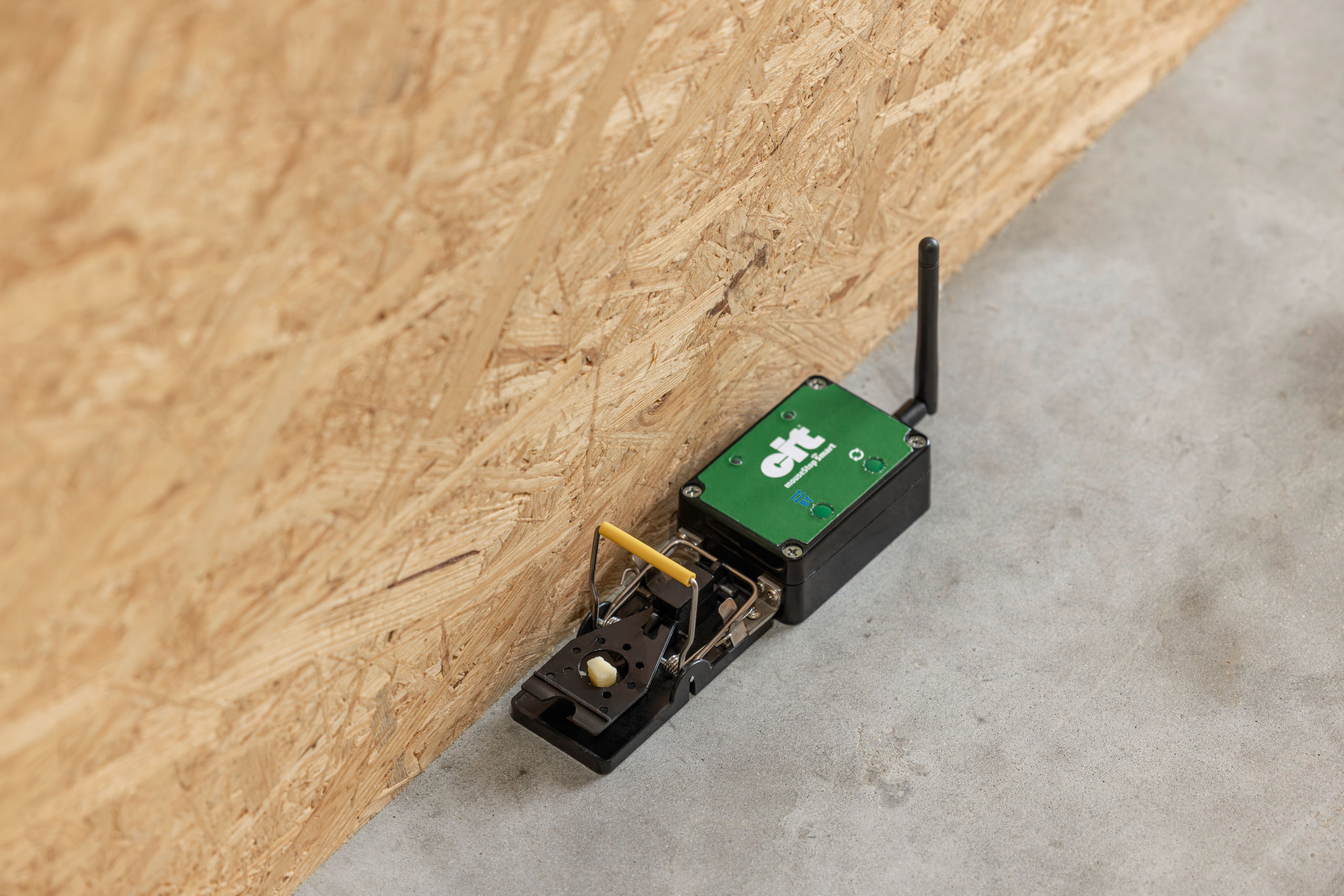 cit mouseStop Smart - cit cit mouseStop Smart von cit
