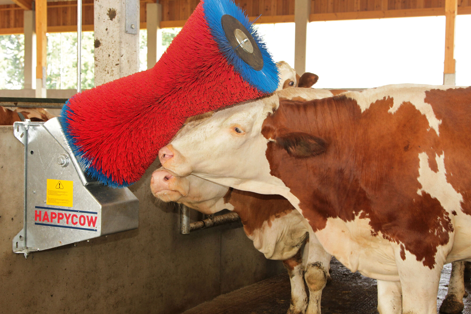 Kuhputzmaschine HAPPYCOW Uno mit PA-Borsten von Kerbl 18680