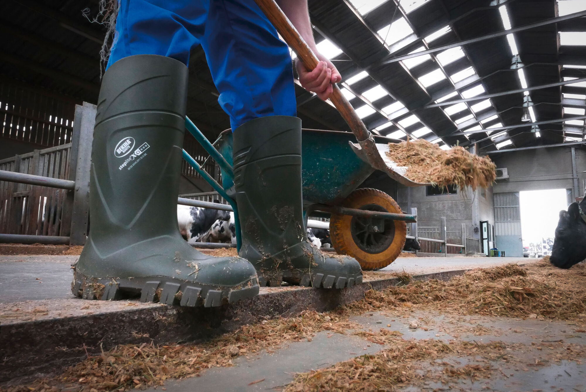 Bekina Sicherheitsstiefel S5 StepliteX® Thermoprotec von Bekina