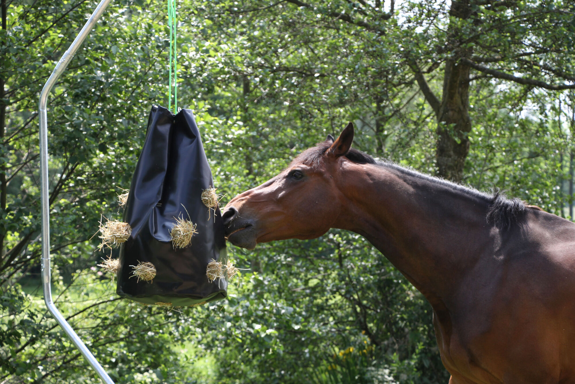 HayBag, Kunststoff - Kerbl HayBag, Kunststoff von Kerbl