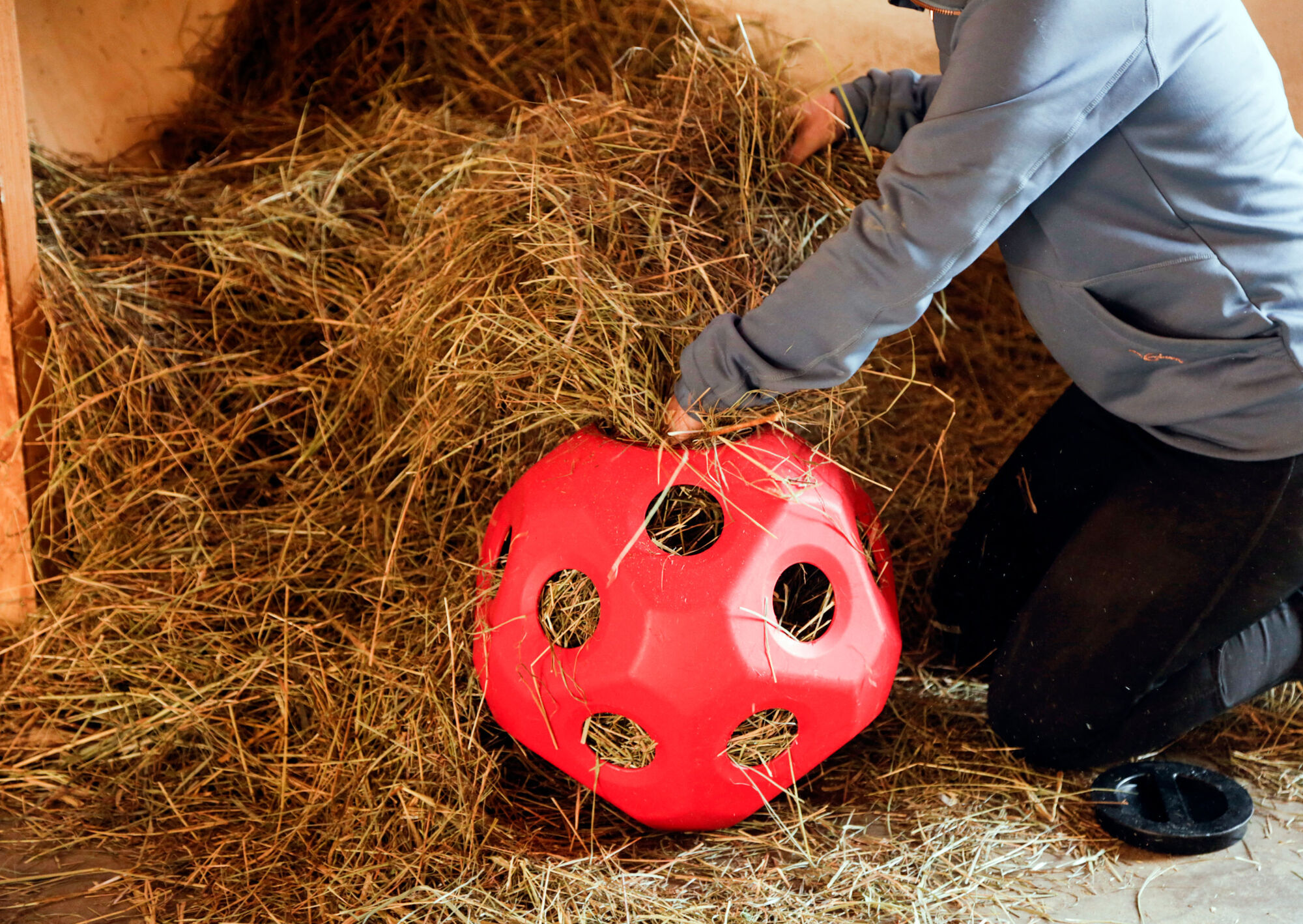HeuBoy Futterspielball von Kerbl