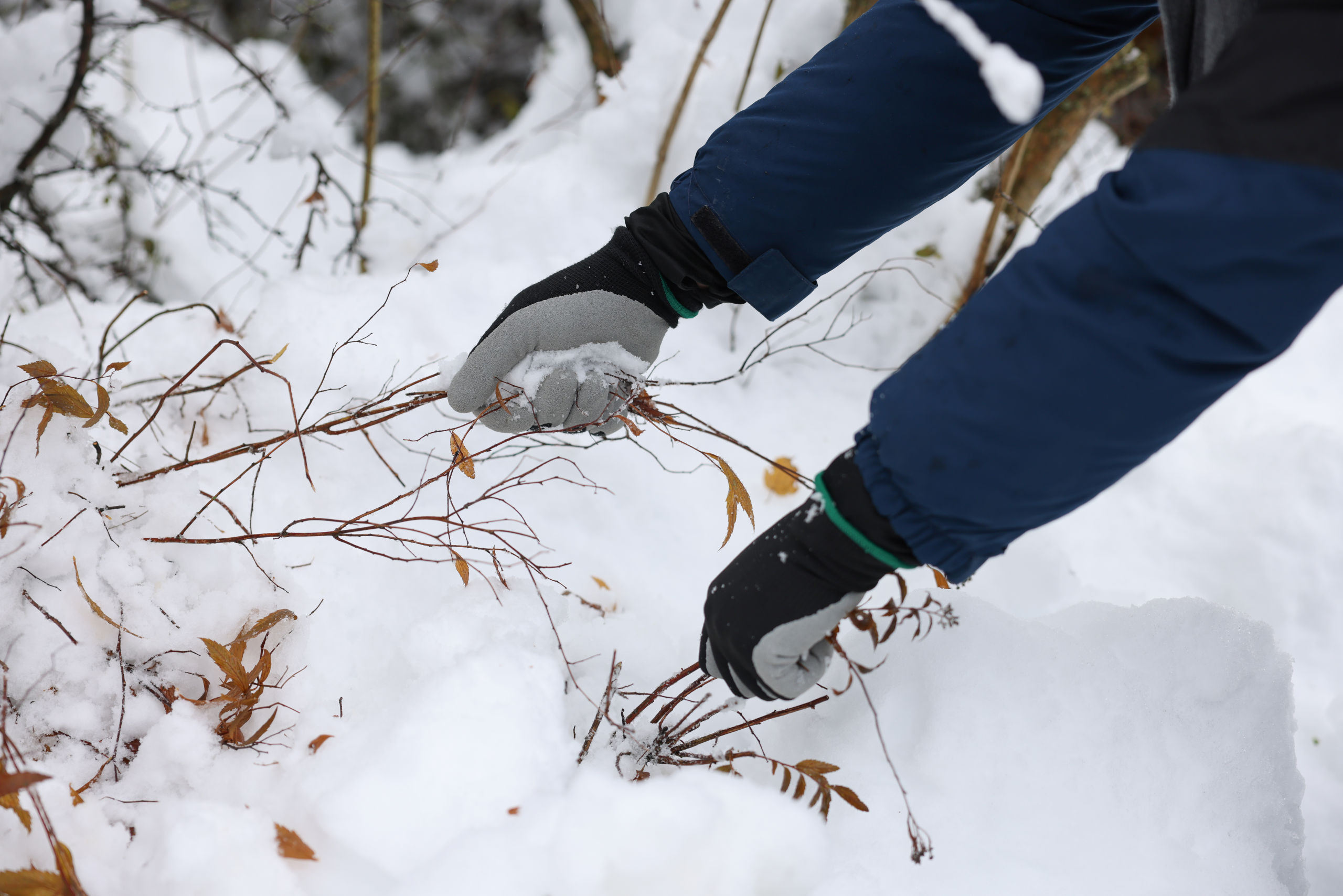 Handschuh Winter Lite - Keron Handschuh Winter Lite von Keron