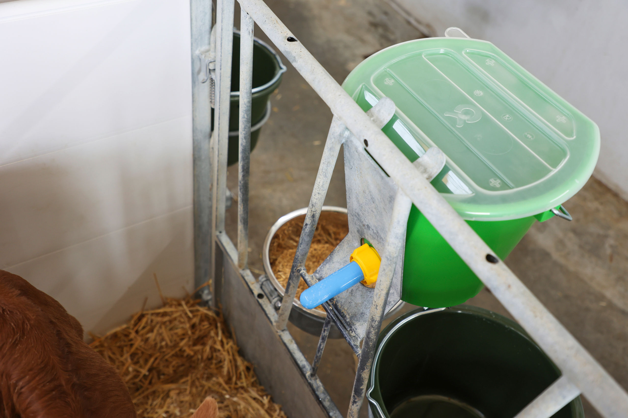 Hygienesauger mit antibakterielle Wirkung | 10er Pack - Kerbl Hygienesauger mit antibakterielle Wirkung | 10er Pack von Kerbl