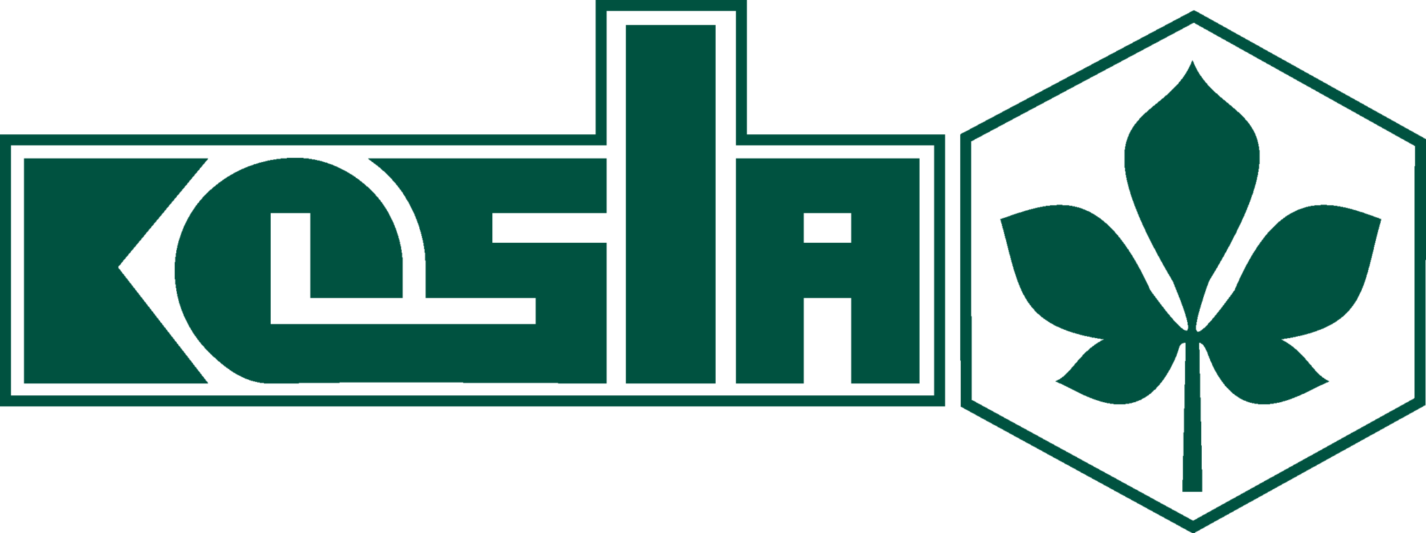 Kesla