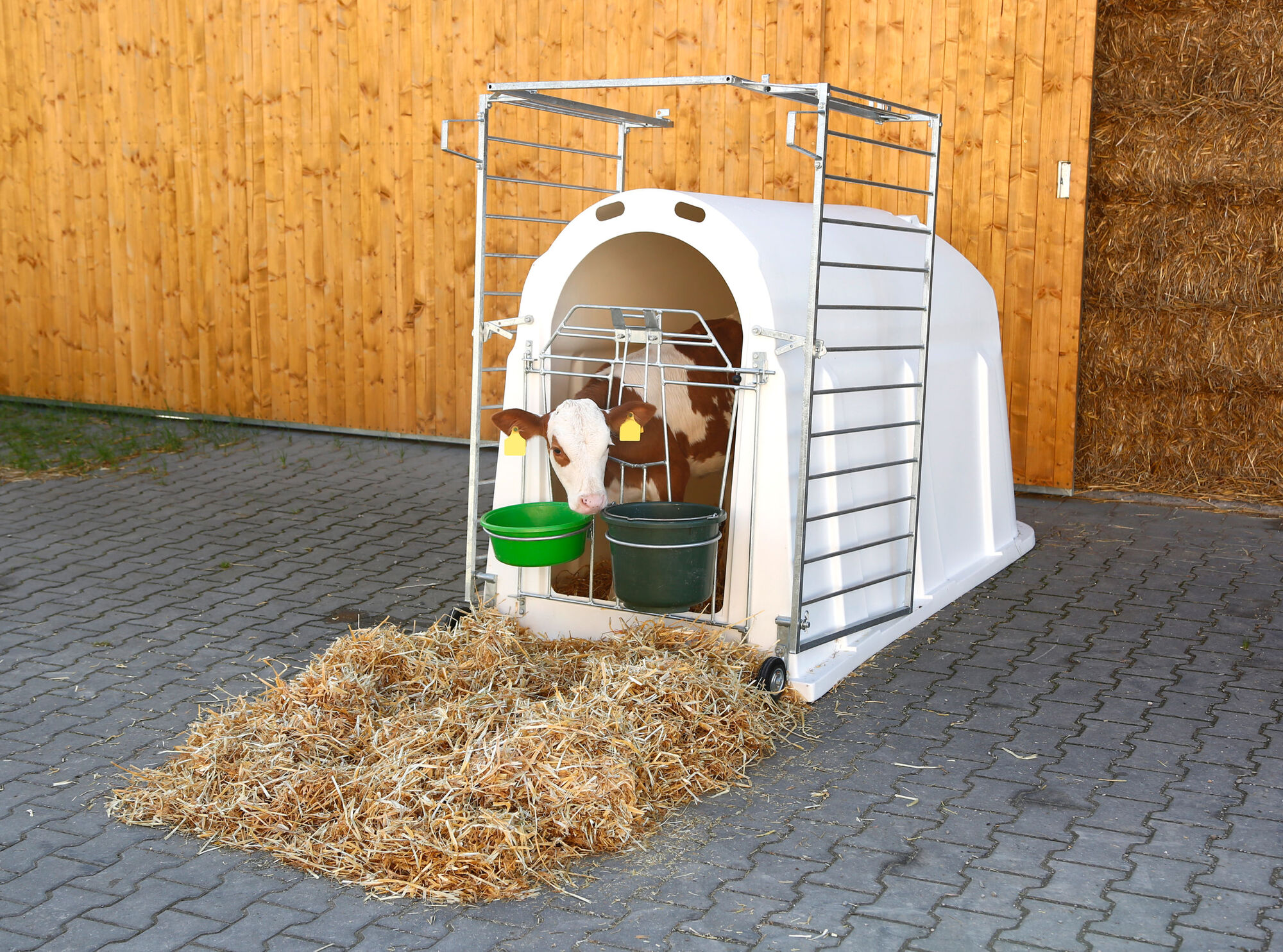 Kälberiglu CalfHouse PE UV+ mit leichter Umzäunung - Kerbl 14566 Kälberiglu CalfHouse PE UV+ mit leichter Umzäunung von Kerbl 14566