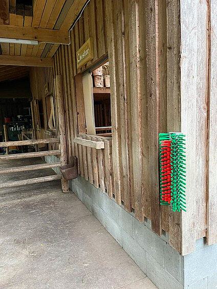 Kratzbürste Eco halbrund - Göbel Kratzbürste Eco halbrund von Göbel