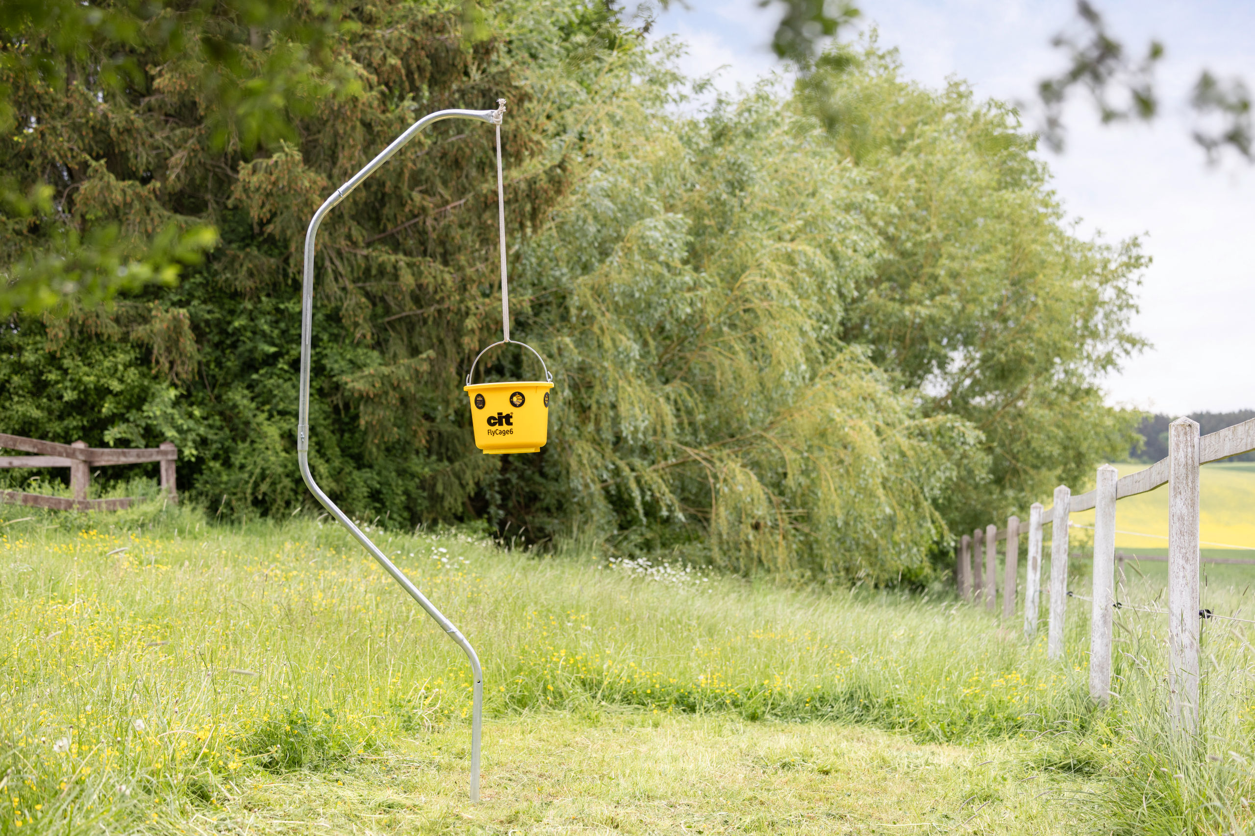 cit Fliegenfalle FlyCage6 - cit 299135 cit Fliegenfalle FlyCage6 von cit 299135