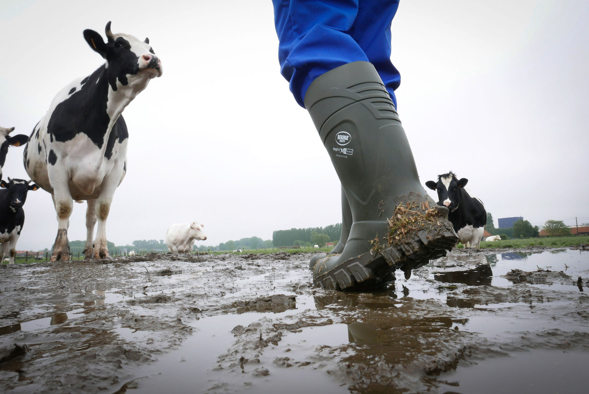 Bekina Sicherheitsstiefel S5 StepliteX® Thermoprotec von Bekina