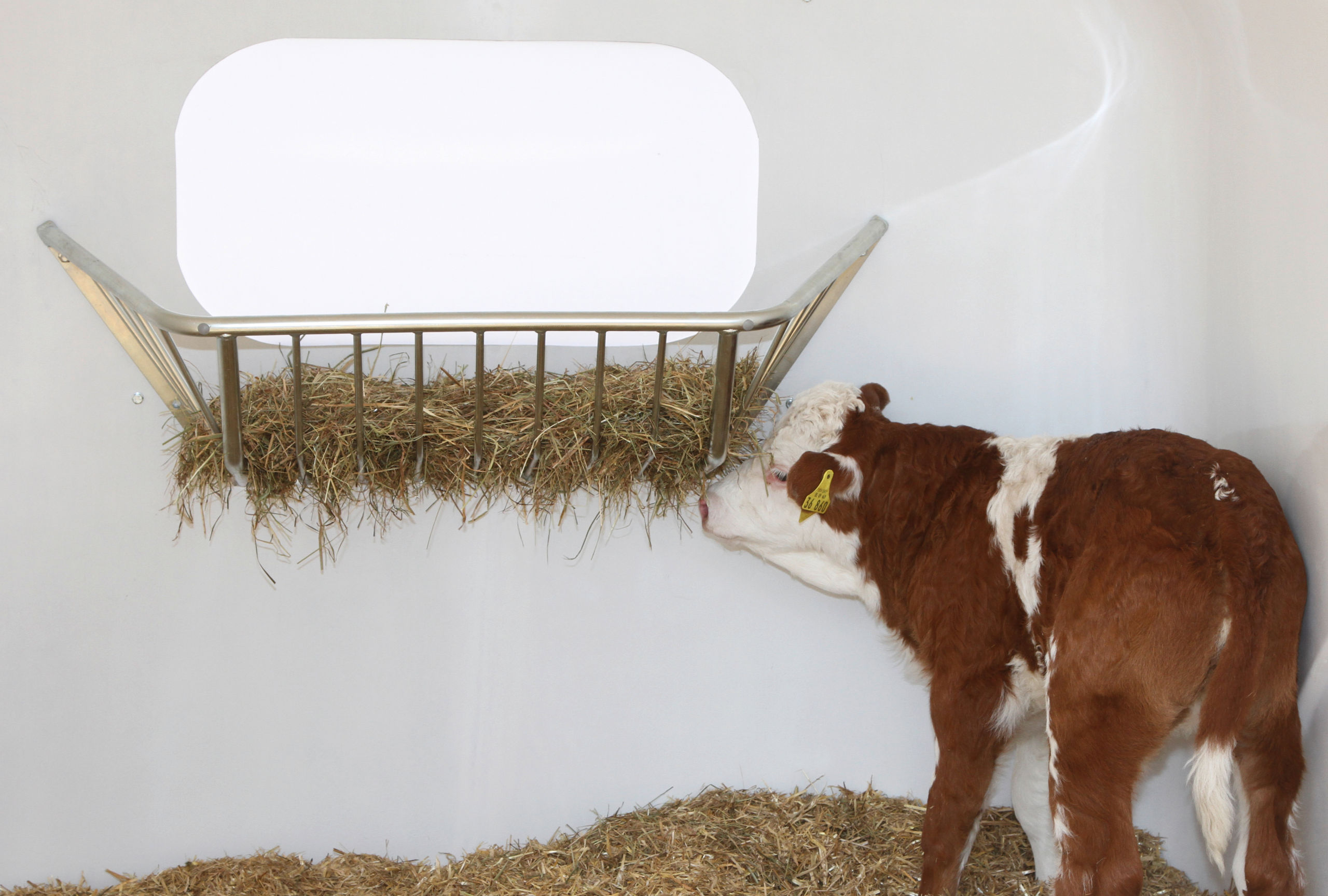 Heuraufe für CalfHouse Premium XL & XXL - Kerbl 14454 Heuraufe für CalfHouse Premium XL & XXL von Kerbl 14454