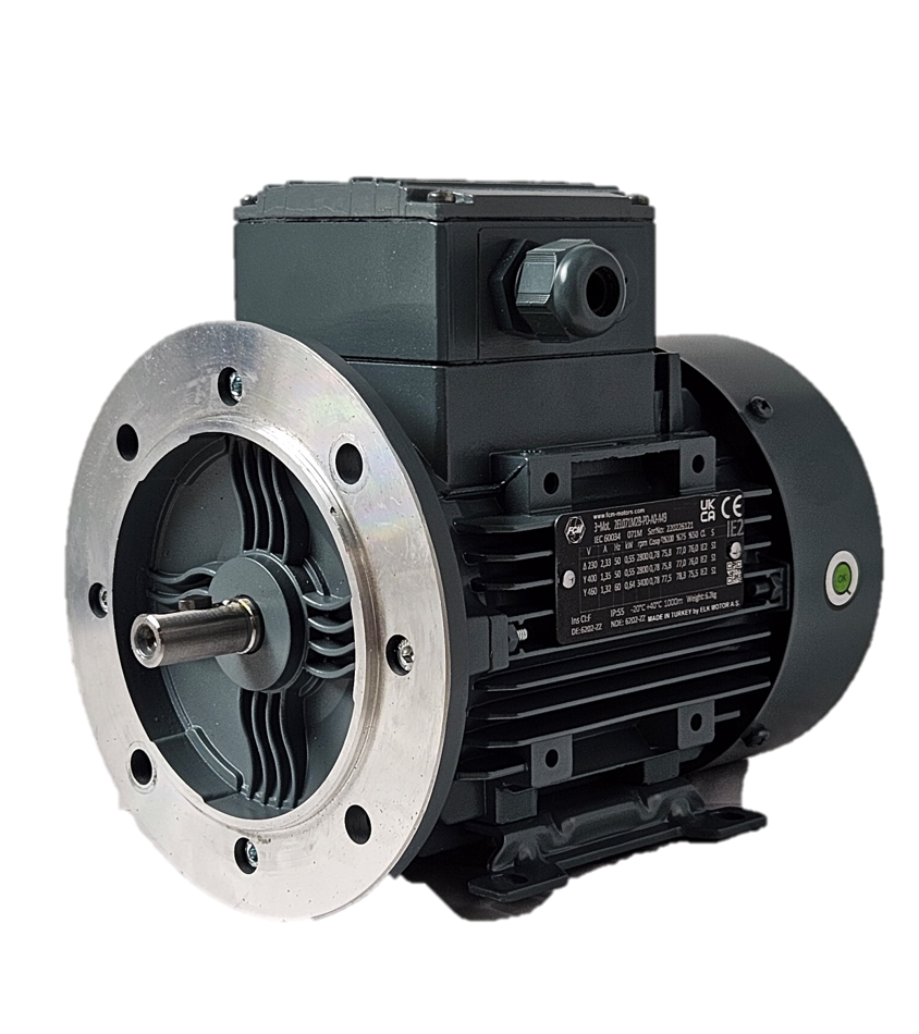 Flanschmotor für Packo Milchpumpe 0,55 kW - Flanschmotor für Packo Milchpumpe 0,55 kW von
