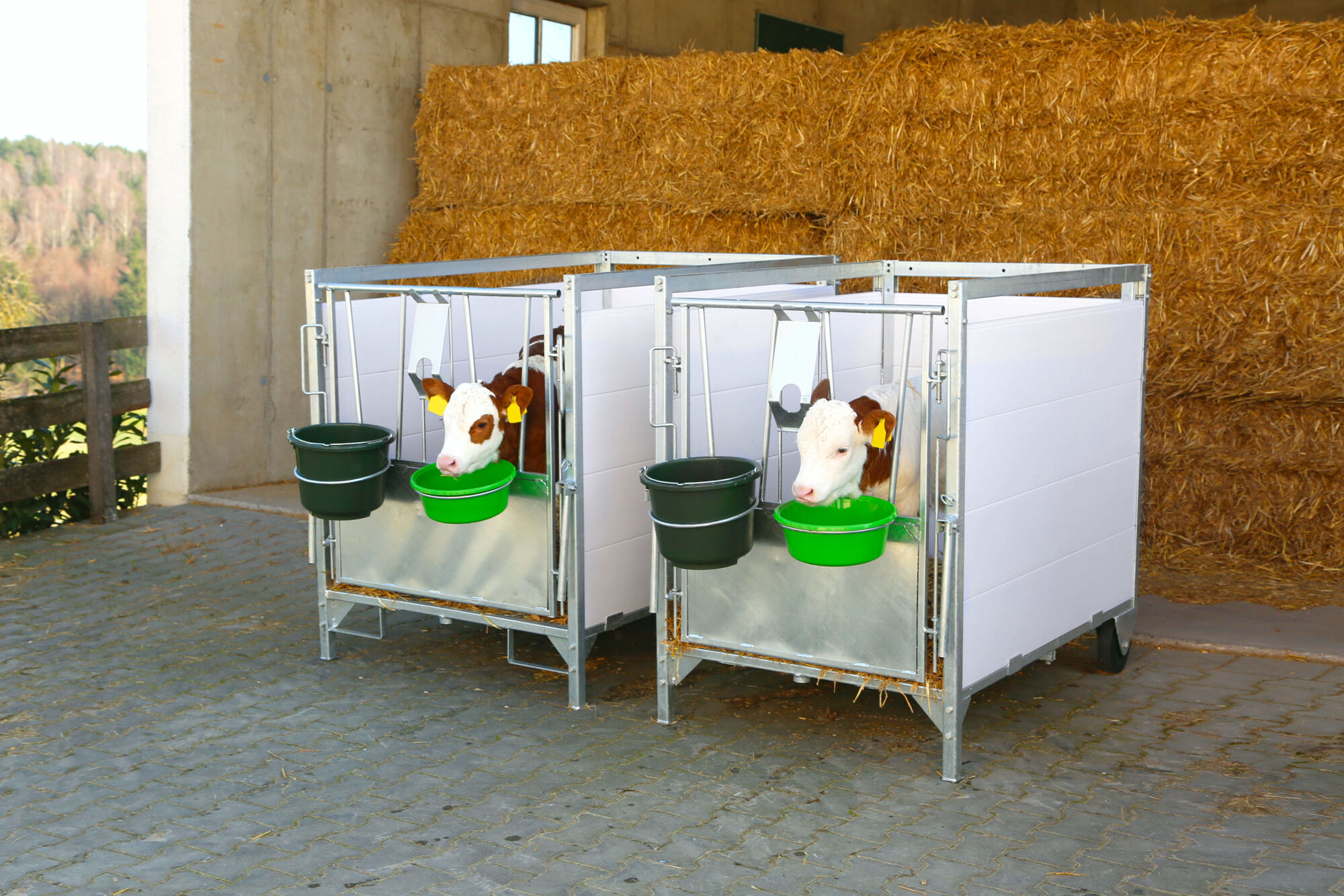 Kälberbox groß von Kerbl 14604