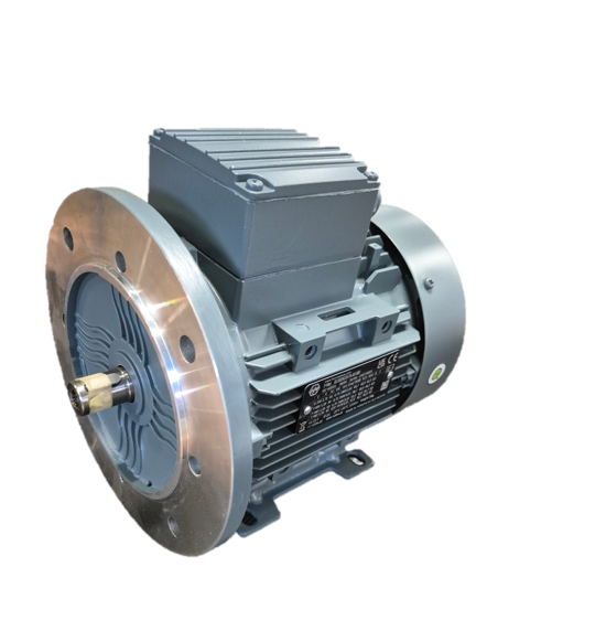 Flanschmotor passend für Packo Milchpumpe 0,75 kW - Packo Flanschmotor passend für Packo Milchpumpe 0,75 kW von Packo
