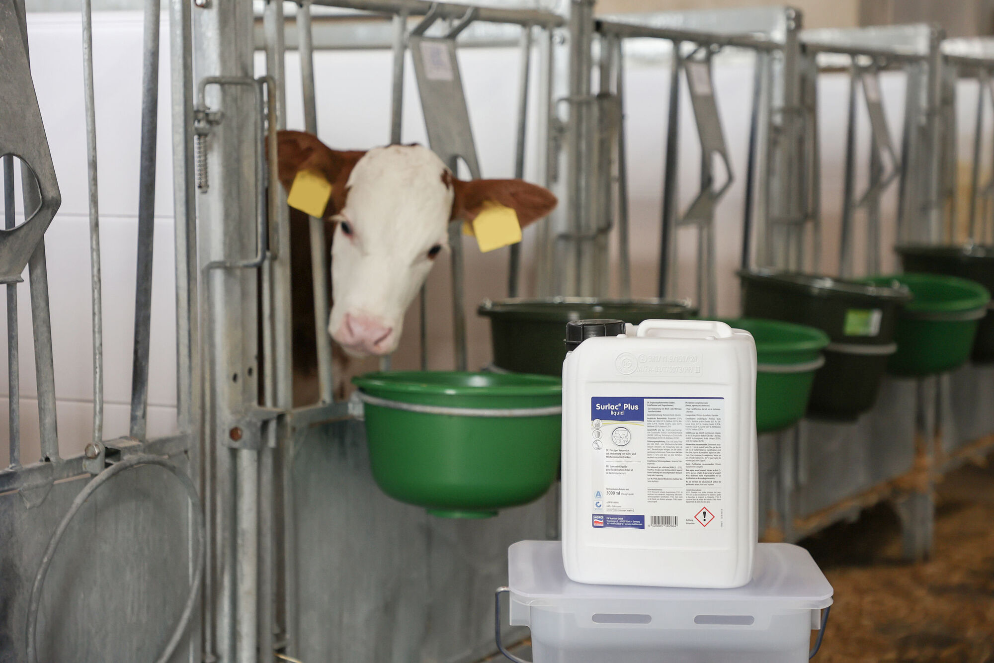 Surlac® Plus Liquid | 5 Liter von Agrochemica