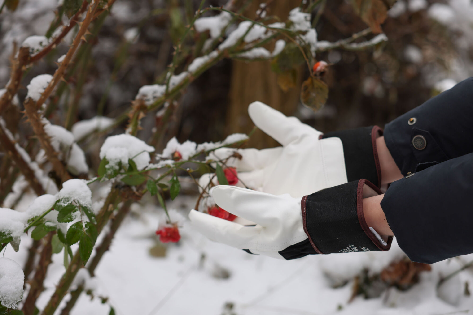 Winterhandschuh Arktic II - Keron Winterhandschuh Arktic II von Keron