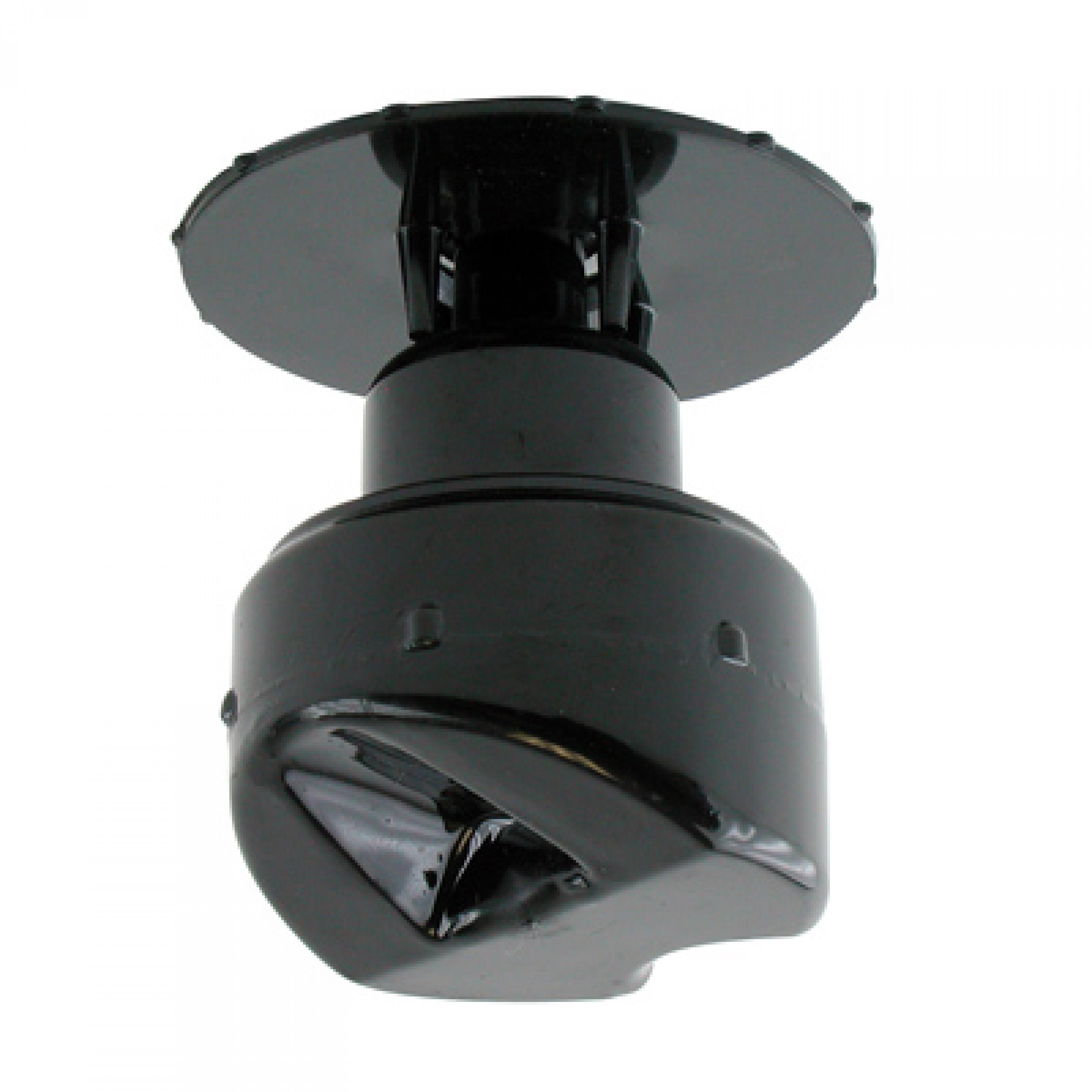 Waikato TCR Schwimmer | 37074136 von Waikato 37074136