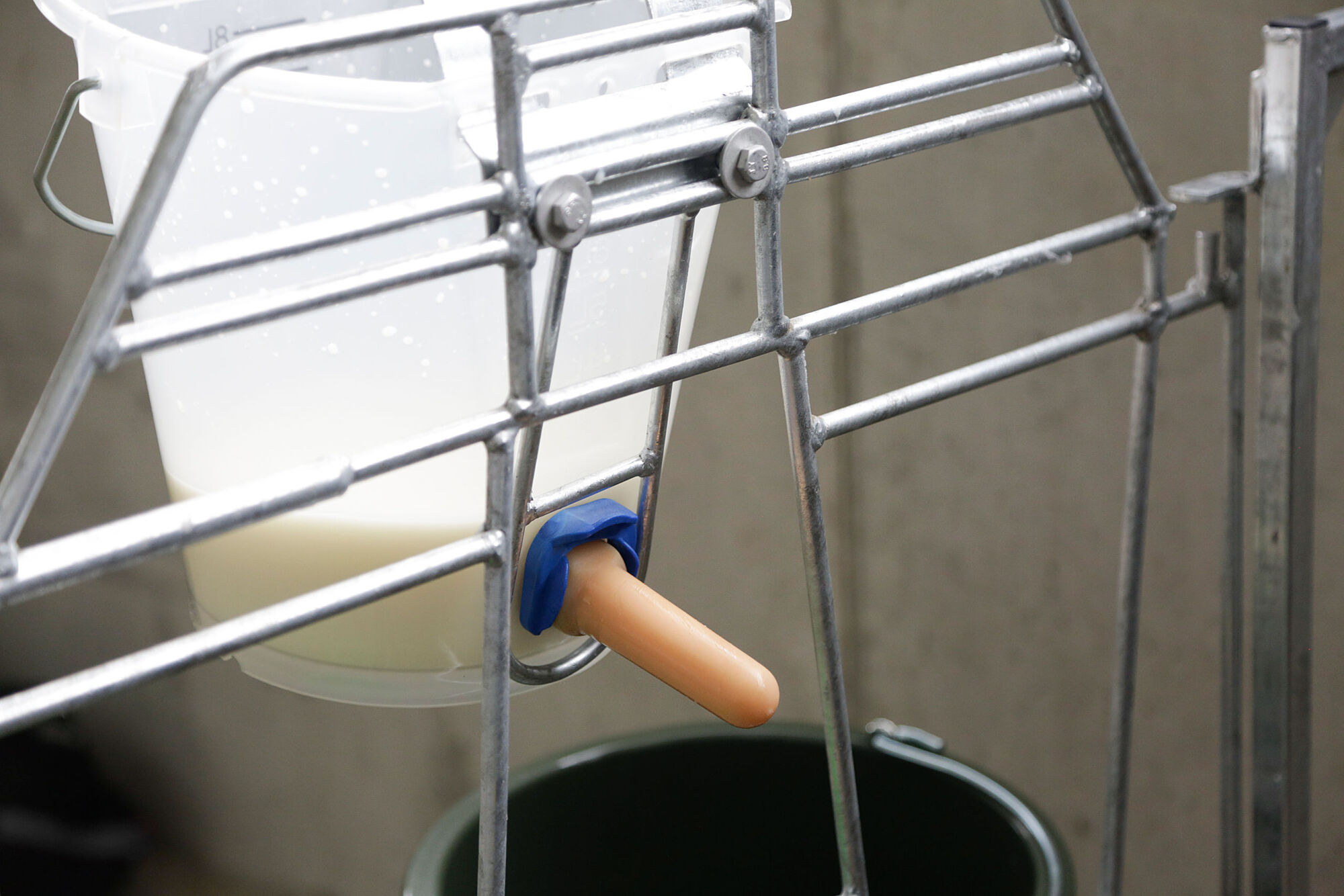 Tränkeeimer mit Ventil FixClip "New Generation" und Naturkautschuk-Sauger - Kerbl Tränkeeimer mit Ventil FixClip "New Generation" und Naturkautschuk-Sauger von Kerbl